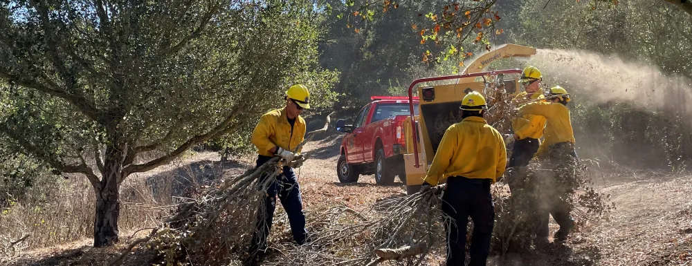 Wildfire Resiliency Project Parks And Recreation